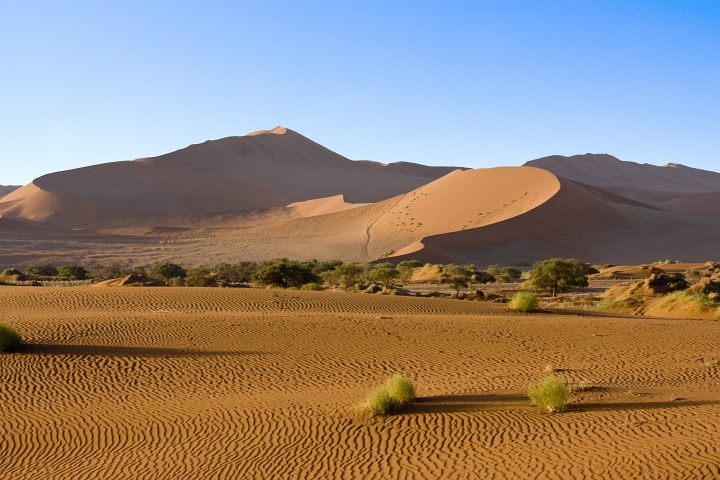 Dnen in der Namib-Wste